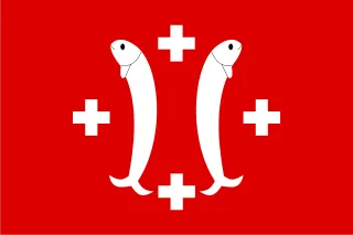 Flag of Salm County (Salm in the Vosges)