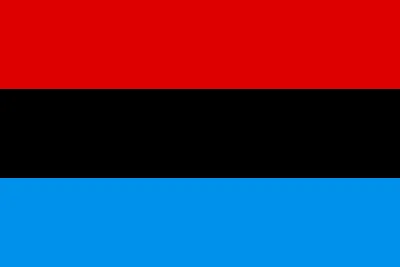 Flag of LRA