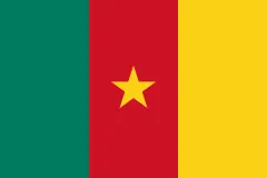 Flag of Republic of Cameroon