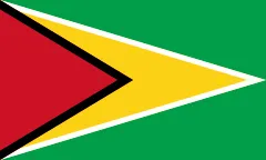 Flag of Co-operative Republic of Guyana