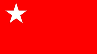 Flag of People's Defence Force