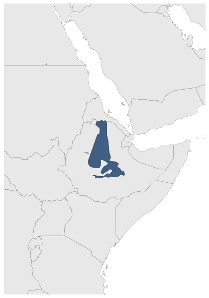 Adal Sultanate (Military Occupation): Maximal extension of the polity