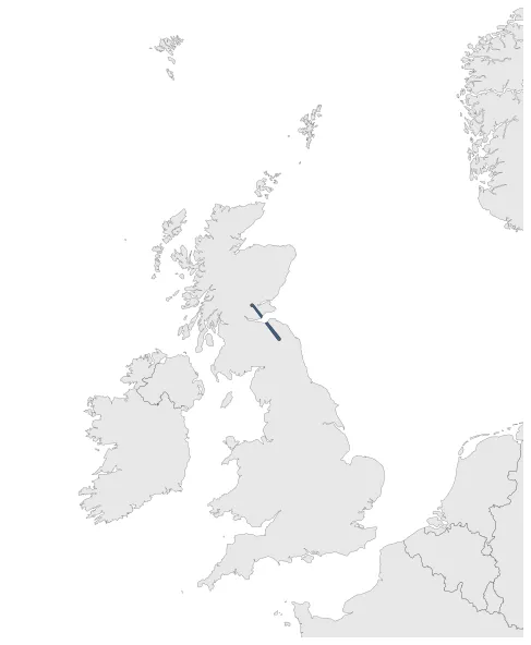 Balliol Loyalists: Maximal extension of the polity