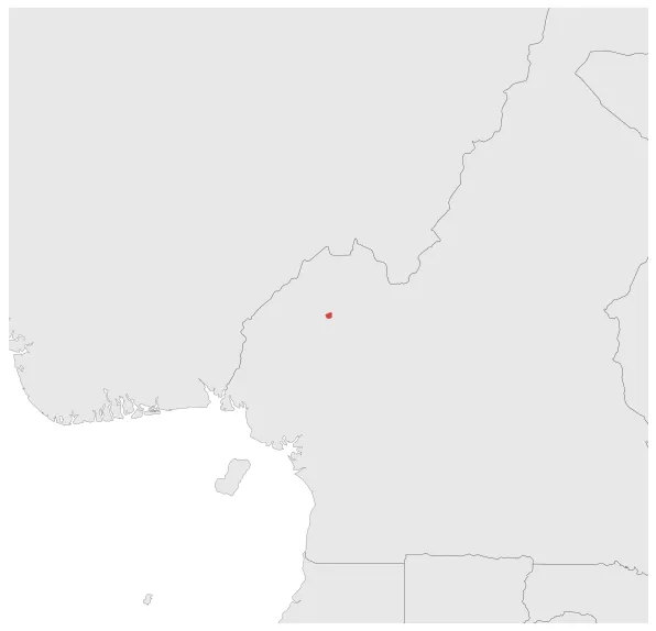 Bamenda-Nkwe: Maximal extension of the polity