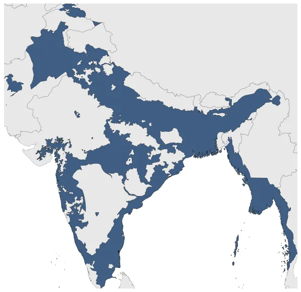 Maximum Extent