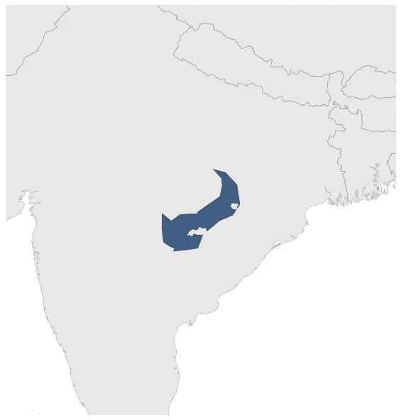 Maximum Extent