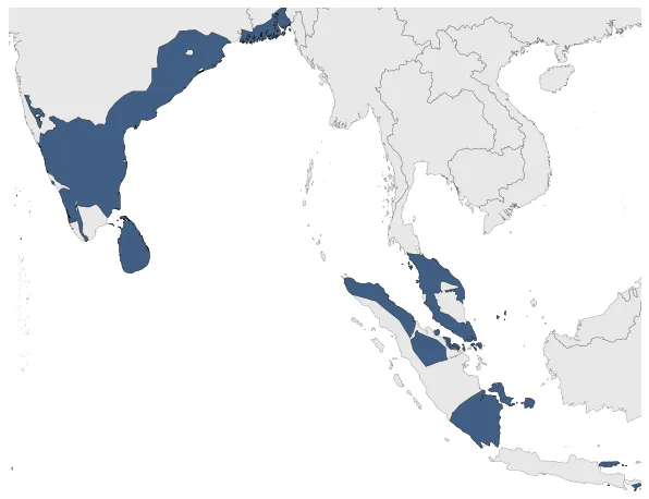 Maximum Extent