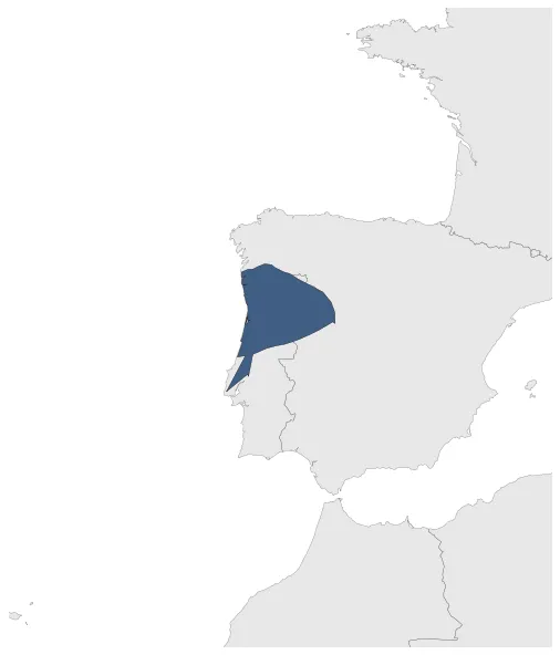 Domain of Teresa and Henry: Maximal extension of the polity