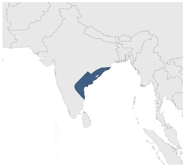 Eastern Chalukyas: Maximal extension of the polity