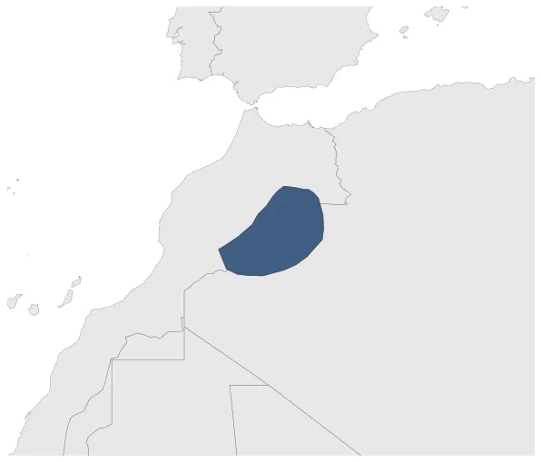 Maximum Extent