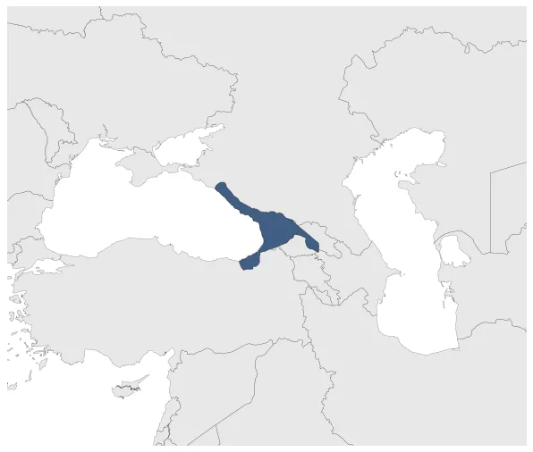 Emirate of Tbilisi: Maximal extension of the polity