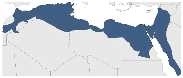 Fatimid Caliphate: Maximal extension of the polity