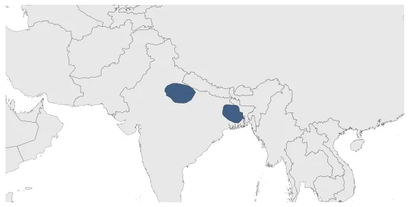 Maximum Extent