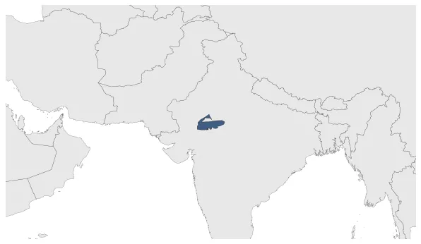 Guhila Dynasty: Maximal extension of the polity