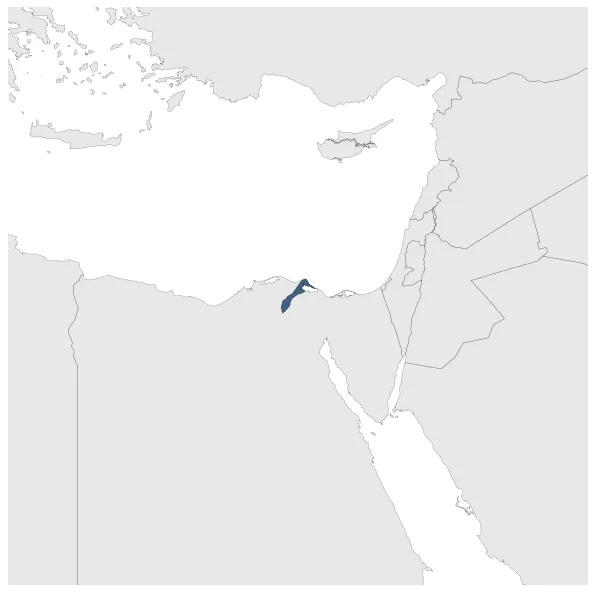 Maximum Extent