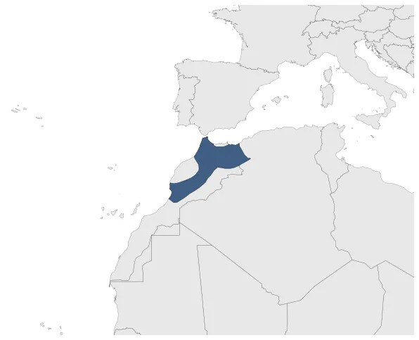 Idrisid dynasty: Maximal extension of the polity