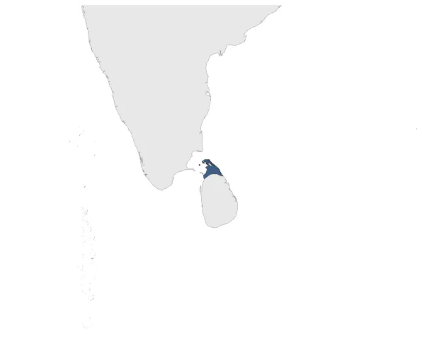 Jaffna Kingdom (Portugal): Maximal extension of the polity