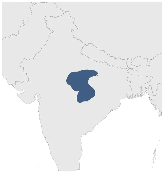 Kalachuris of Tripuri: Maximal extension of the polity