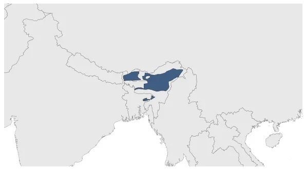 Kamarupa Kingdom (Pala Empire): Maximal extension of the polity