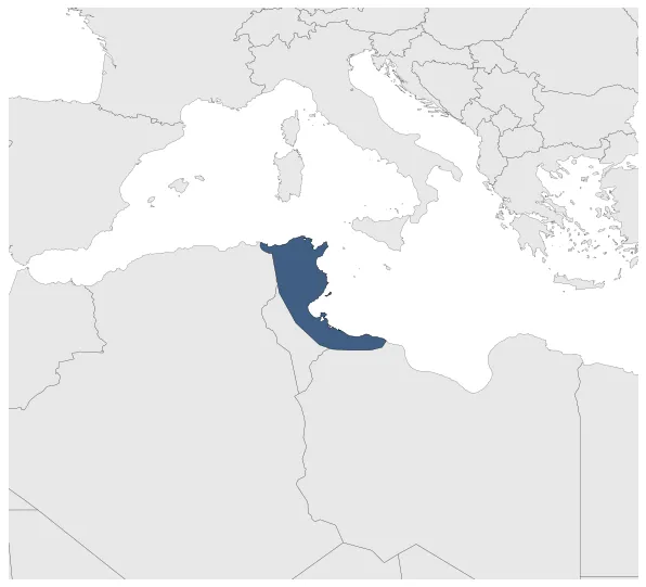 Maximum Extent