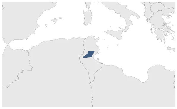 Maximum Extent