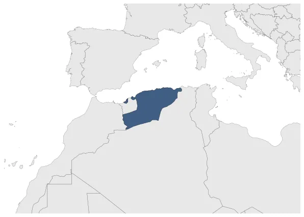 Maximum Extent