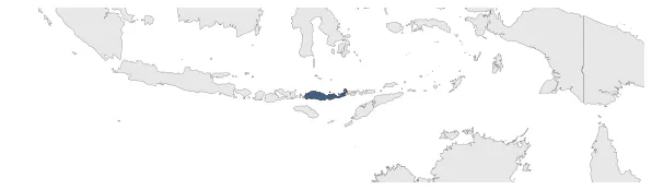 Kingdom of Larantuka: Maximal extension of the polity