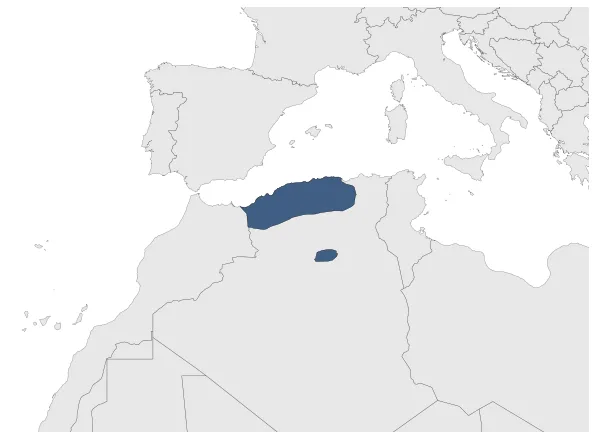Kingdom of Tlemcen (Marinid Vassal): Maximal extension of the polity