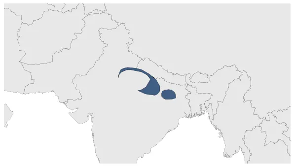 Later Gupta (Pushyabhuti dynasty): Maximal extension of the polity