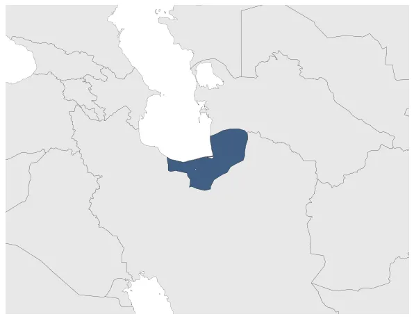 Marashis: Maximal extension of the polity