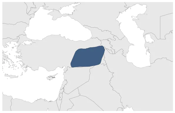 Marwanids: Maximal extension of the polity