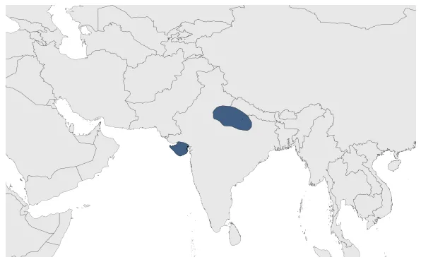 Maximum Extent