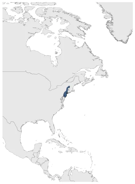 New Netherland: Maximal extension of the polity