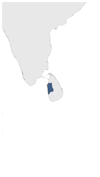 Nikapitiya's Rebels: Maximal extension of the polity