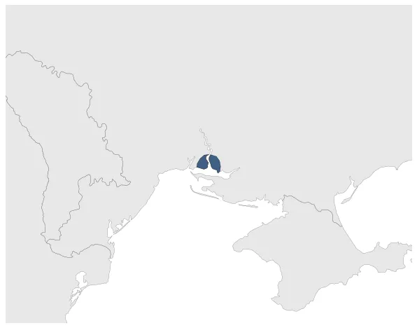 Olbia: Maximal extension of the polity