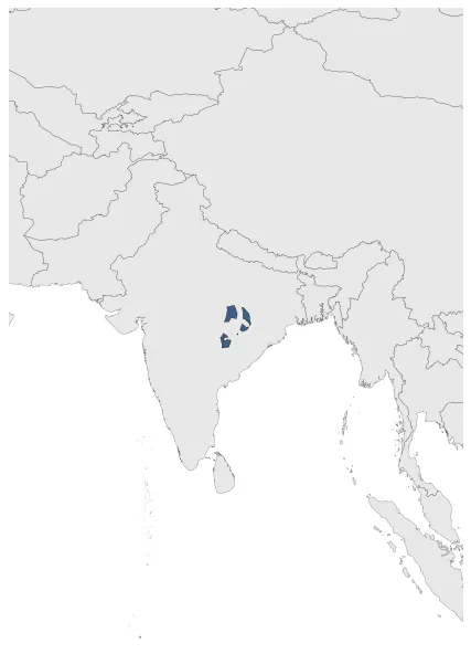 Parvatadvaraka Dynasty: Maximal extension of the polity