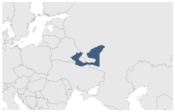 Principality of Chernigov: Maximal extension of the polity