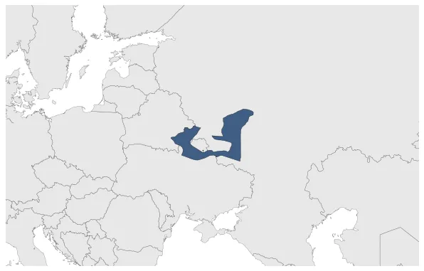 Principality of Chernigov (Mongol Empire): Maximal extension of the polity