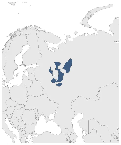 Maximum Extent