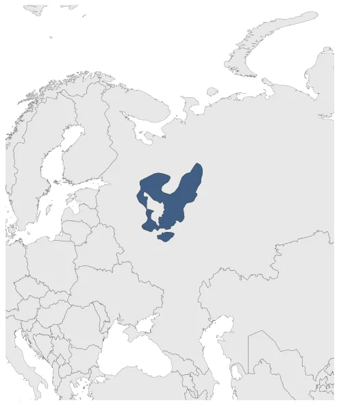 Principality of Vladimir-Suzdal (Mongol Empire): Maximal extension of the polity