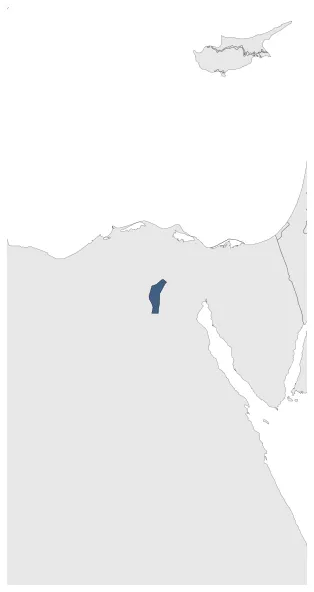 Maximum Extent