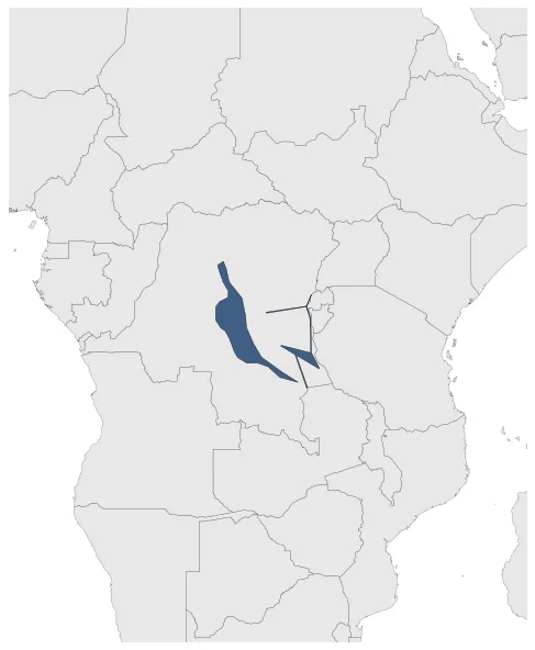 RCD-Goma: Maximal extension of the polity