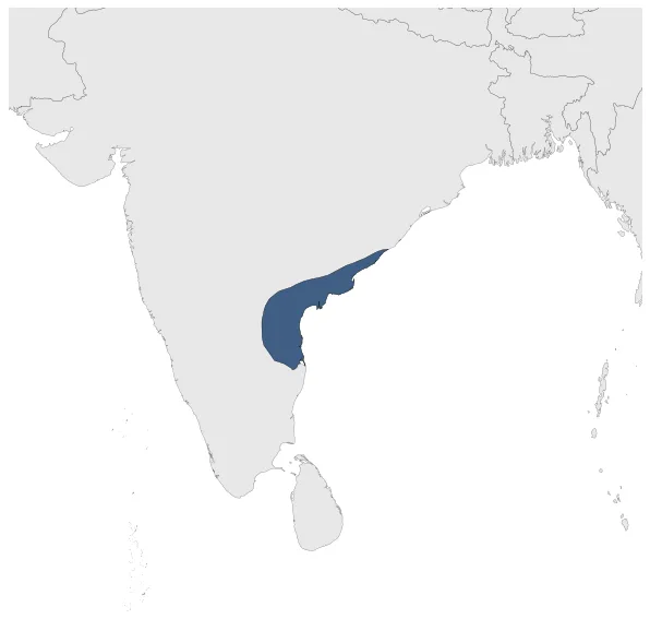 Maximum Extent