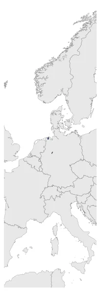 Rietberg County: Maximal extension of the polity