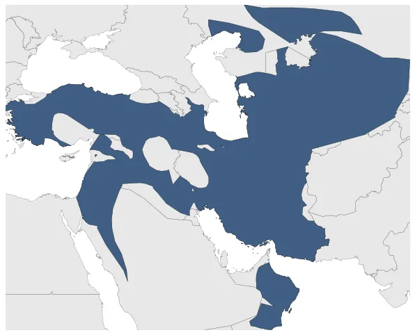 Seljuk Empire: Maximal extension of the polity