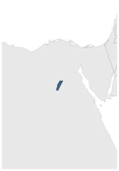Maximum Extent