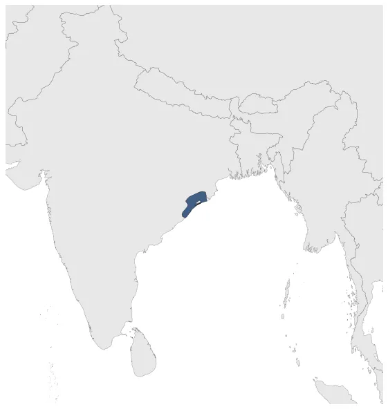 Maximum Extent