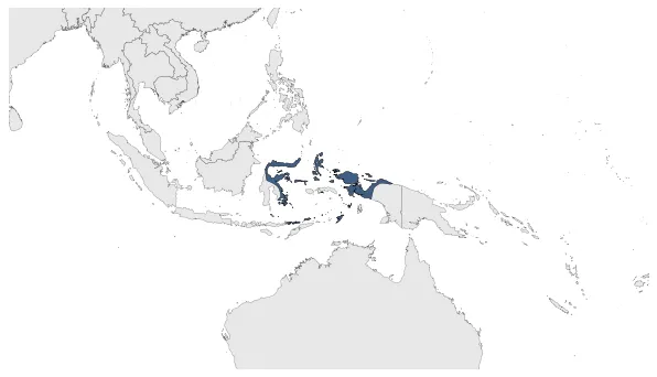 Sultanate of Ternate: Maximal extension of the polity