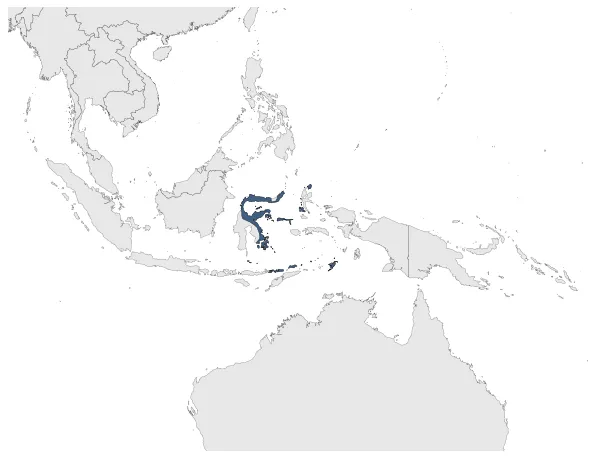 Sultanate of Ternate (Netherlands): Maximal extension of the polity