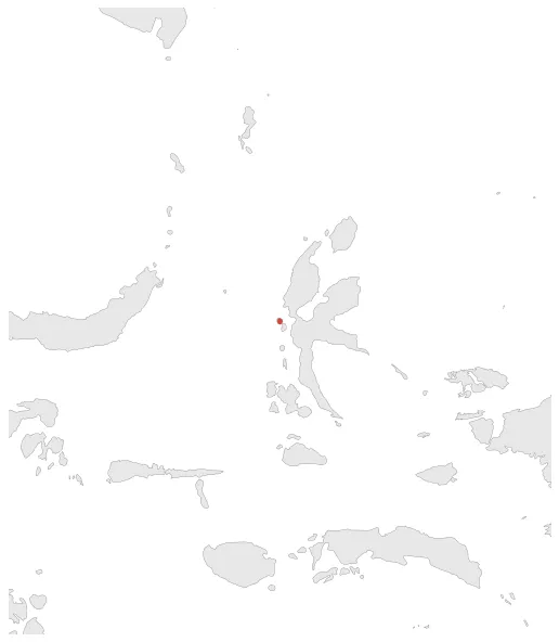 Sultanate of Ternate (Spain): Maximal extension of the polity